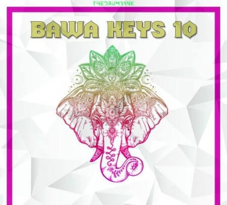 Dynasty Loops Bawa Keys 10 WAV